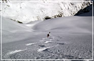 Sciare in Val di Sole