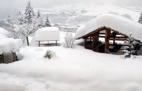 Hotel Genzianella - Val di Sole-1