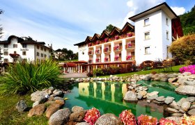 Wellness Hotel Salvadori - Val di Sole-0