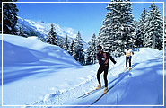 Sci da Fondo in Val di Sole